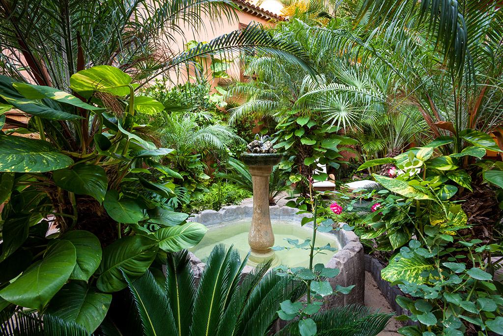 Hotel Livvo La Quinta Roja Garachico  Εξωτερικό φωτογραφία